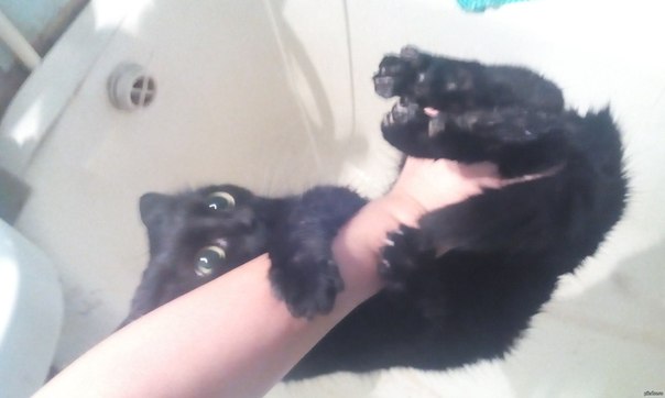 Подборка картинок 17.02.16