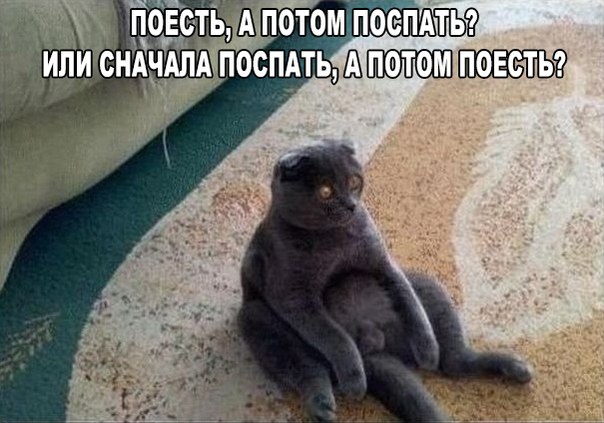 Мохнатые беспредельщики
