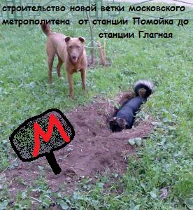 Фотожаба: да здесь где-то недалеко!