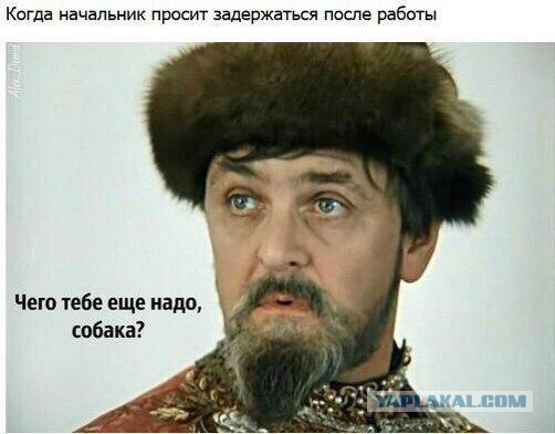 Всячина. 33 картинки