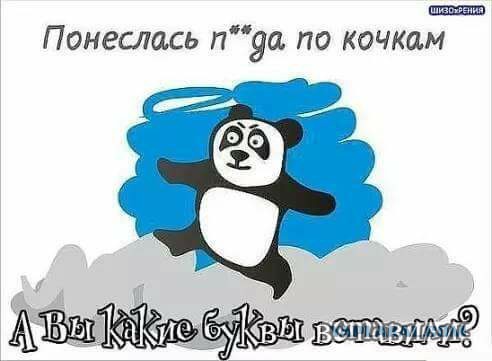 Подборка интересных и веселых картинок
