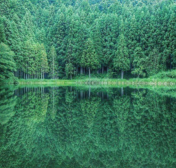 Моменты, запечатлённые на фото и просто позитив 5