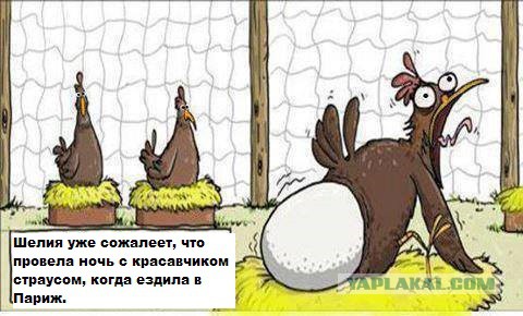 WTF: что тут происходит?
