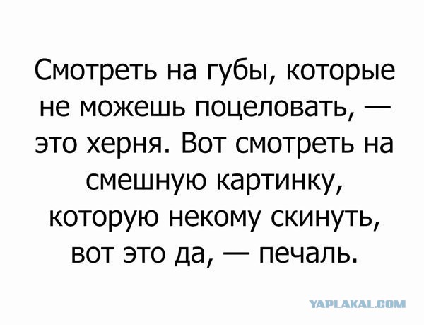 Деградации ЯПу