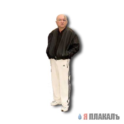 Московская семья