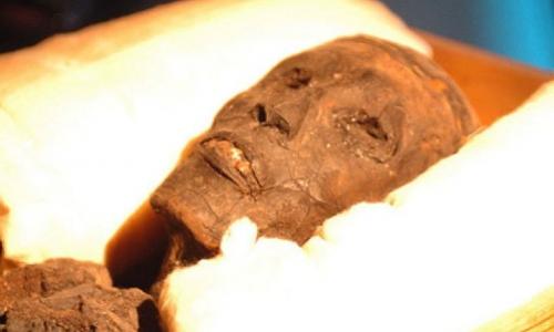 Анализ ДНК почти сотни египетских мумий вогнал ученых в ступор. Фараоны пришли с Кавказа!