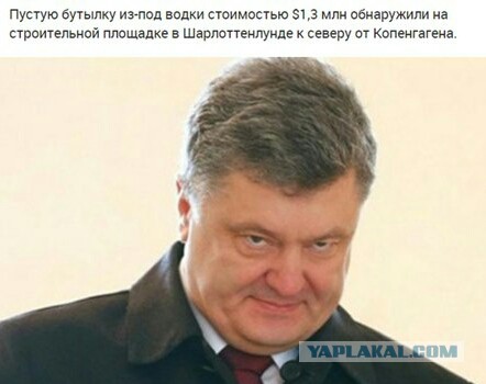 Украденную в Дании бутылку водки за $1,3 млн нашли пустой на стройке