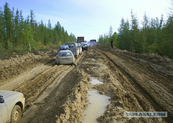 Выжить и не сломаться
