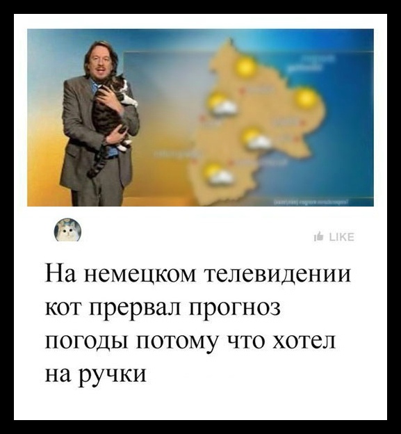 Смешные комментарии из социальных сетей 09.06.2018