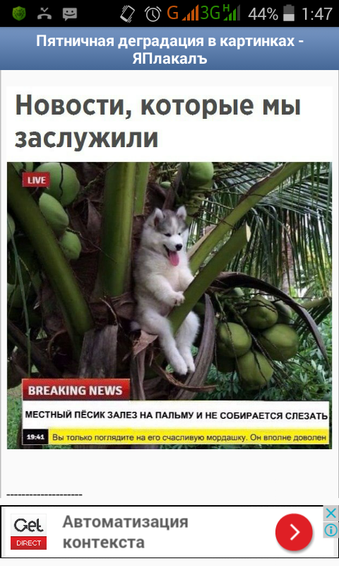 Немного картинок в этот субботний вечр