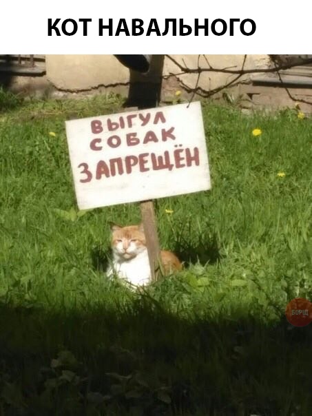 Немного картинок в эту субботу