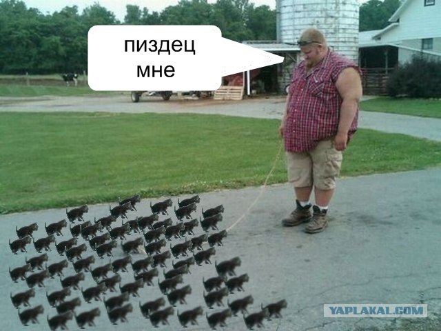 Противоположности притягиваются?