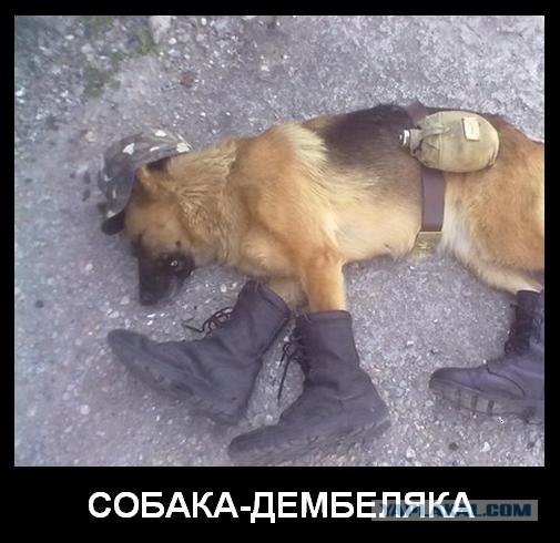 Дембель на отдыхе