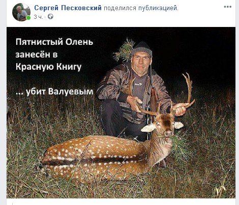Клоуны и спортсмены как основной состав Думы