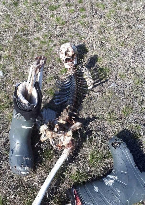 В Оренбургской области найден скелет гражданина Узбекистана, который замерз в степи