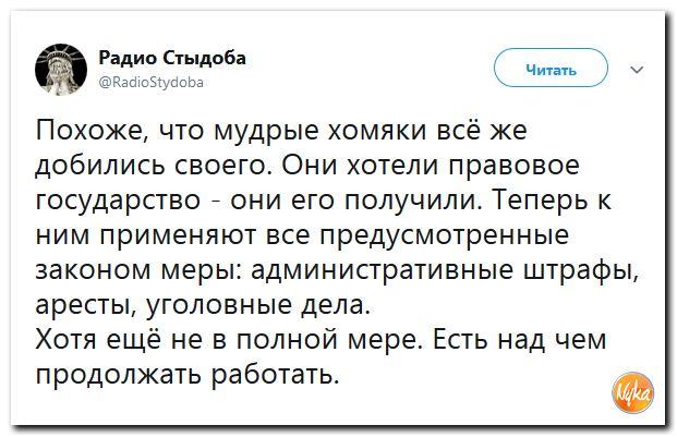 "Мирный" протестующий