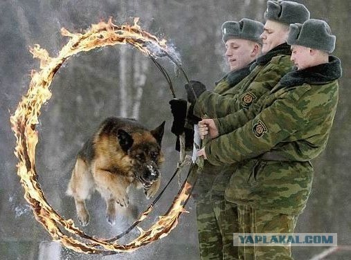 Остановись, мгновение! (есть только миг)