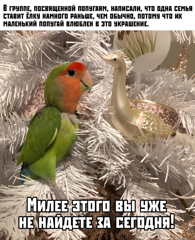 Субботняя фотоподборка 23.11.2019
