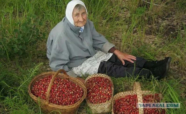 Очередное начало, пора за патронами.