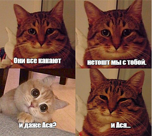 Дополнение к посту о "безотцовщин"  разведенок