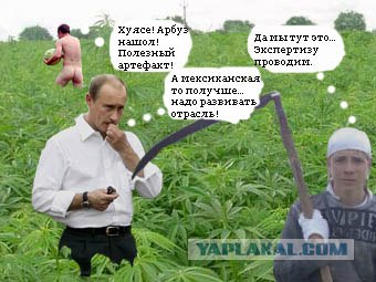 Отжабьте меня пожалуйста