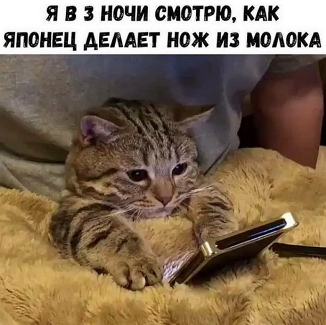 Еще внукам послужит: лучшие и прочнейшие ножевые стали