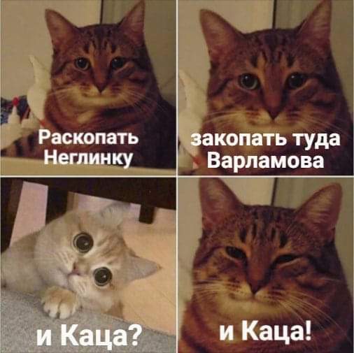 Бредзона 07.03.21