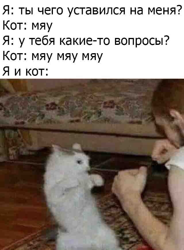 Весёлый полтишок 20.03