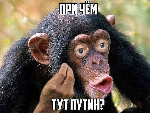 Ипотечников в России начнут лишать единственного жилья