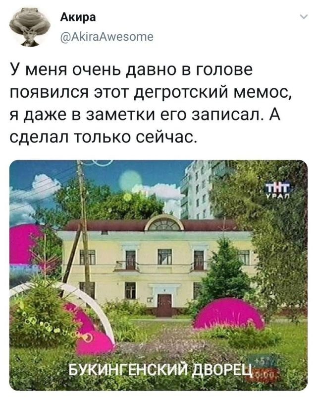 Картинки и мемы для настроения