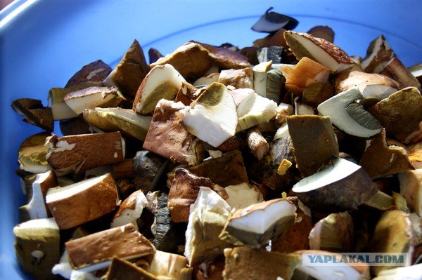 Осень в банках