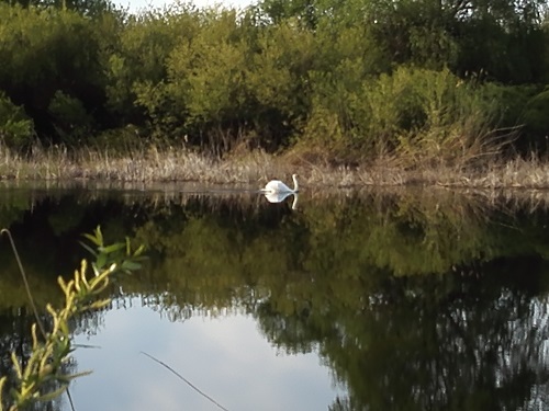 Вот моя деревня-1