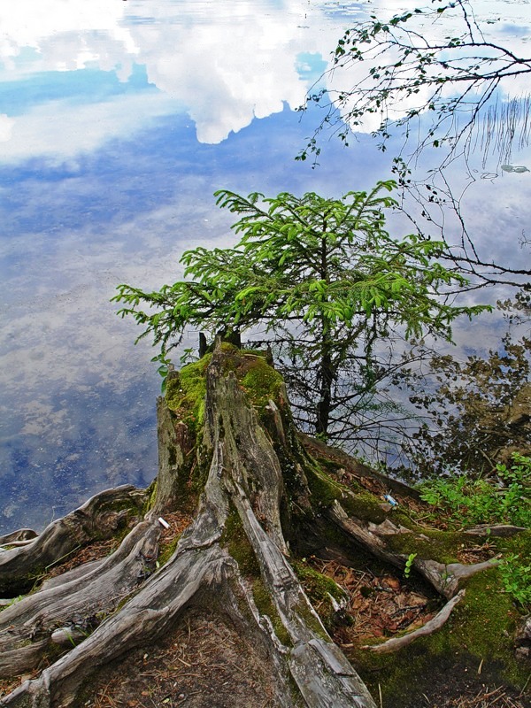 Озеро Селигер (30 фото)