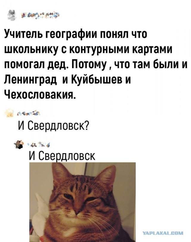 Так себе картинки 15.06.22