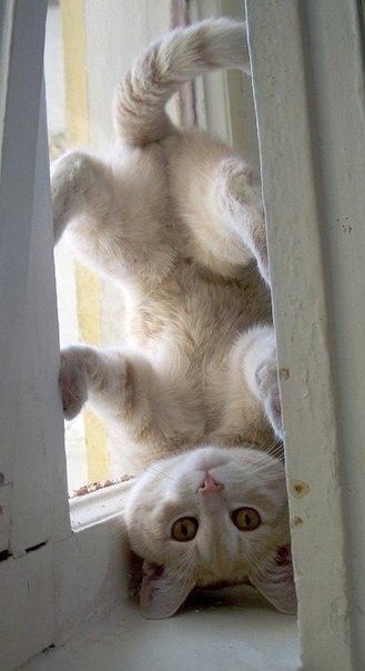 35 фото, которые позволяют взглянуть на знакомые вещи «под другим углом»