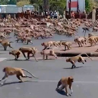 Без комментариев