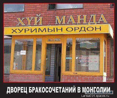 Весёлый полтишок 15.02.23