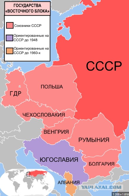 Первые леопарды прибыли