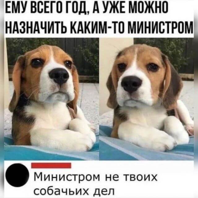Картинки и мемы для настроения - 137