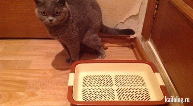 Картинки про оно