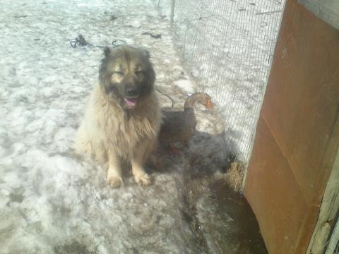 Такая вот дружба