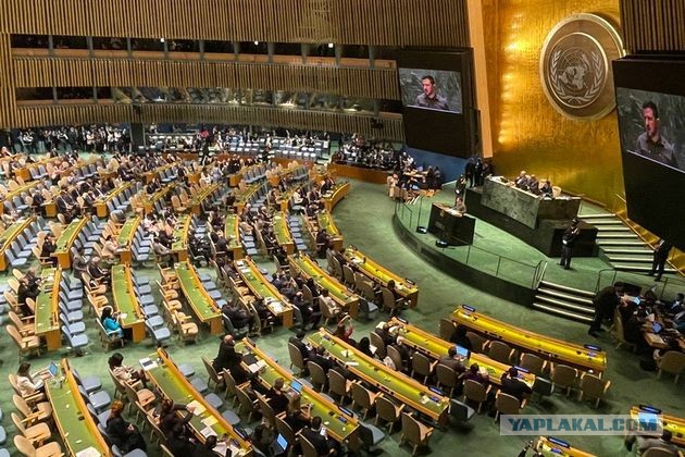 Зеленский на Генеральной ассамблее ООН озвучил свой мирный план