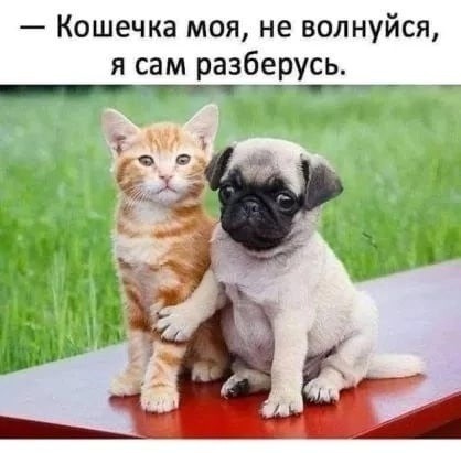 Немного картинок и прочей хреноты Vol. 26