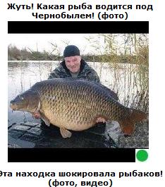Автодемотиватор на ЯПе