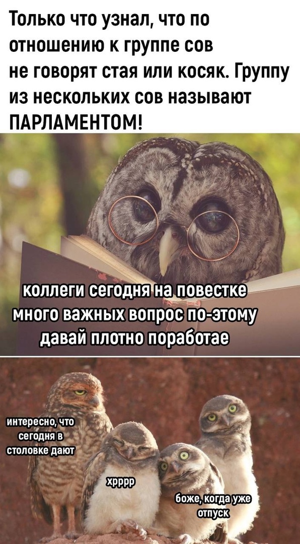 Так себе картинки 10.04.24