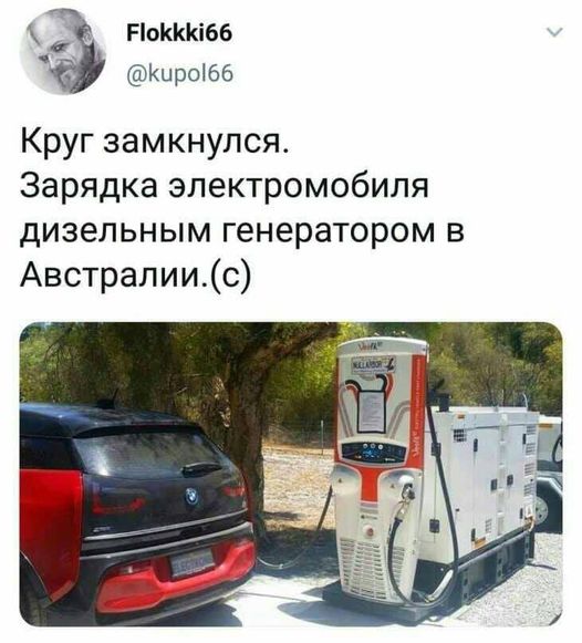 Весёлый полтшок 09.05.24