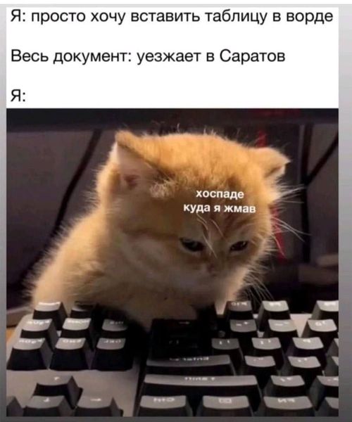 LOLтиночки