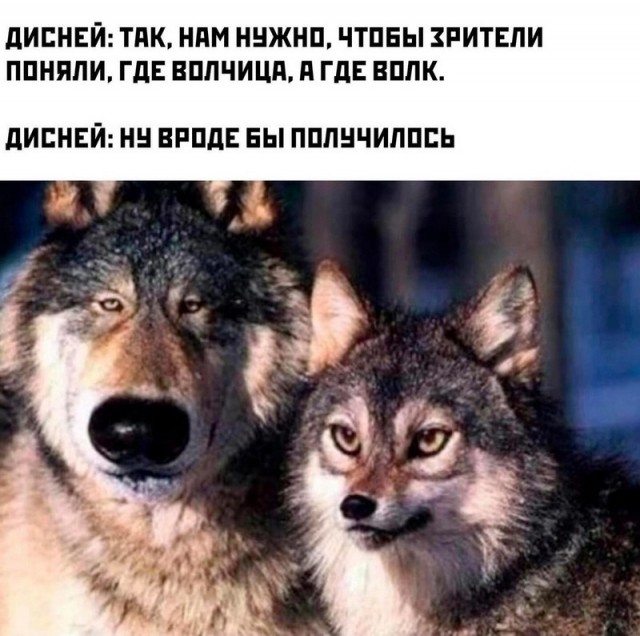 Весёлые картинки