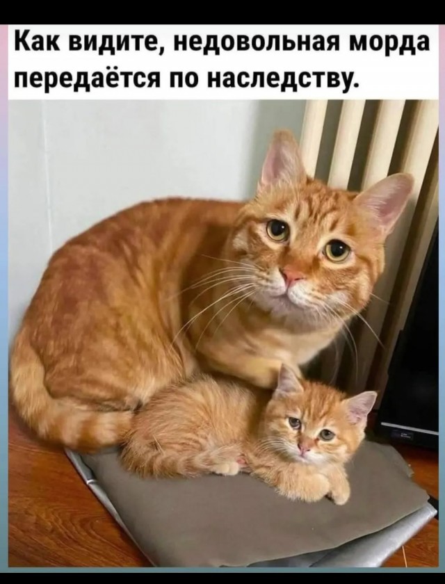 Но... надо!