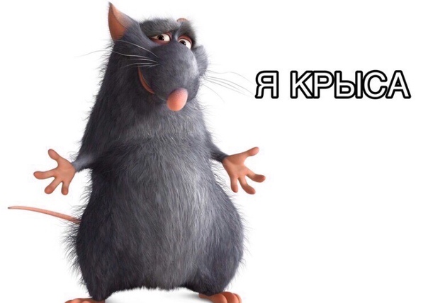 «Крысолюди» — китайцы придумали новый термин, описывающий людей, выбравших спокойный, размеренный образ жизни